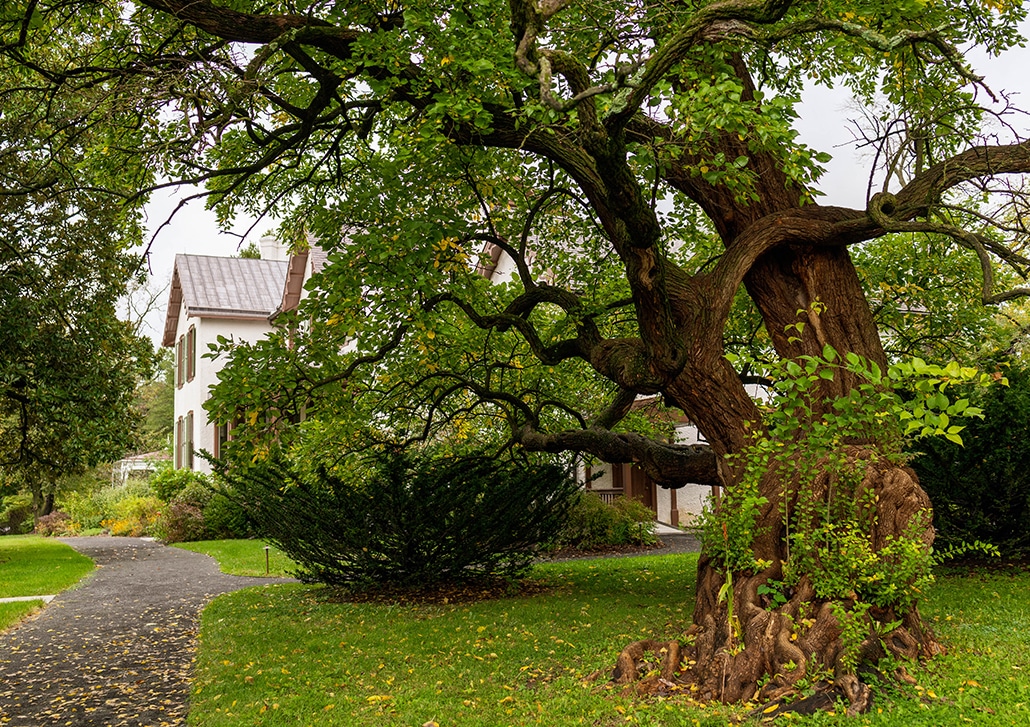 president lincoln's cottage tours